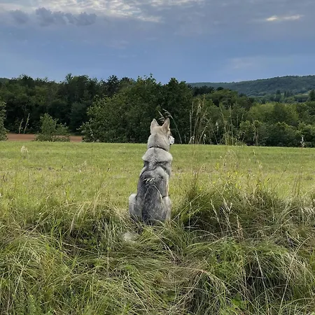 Casa vacanze Grande Saint Martin Le Redon