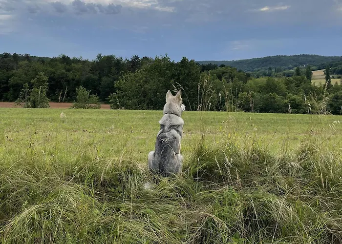 Дом отдыха Grande Saint Martin Le Redon